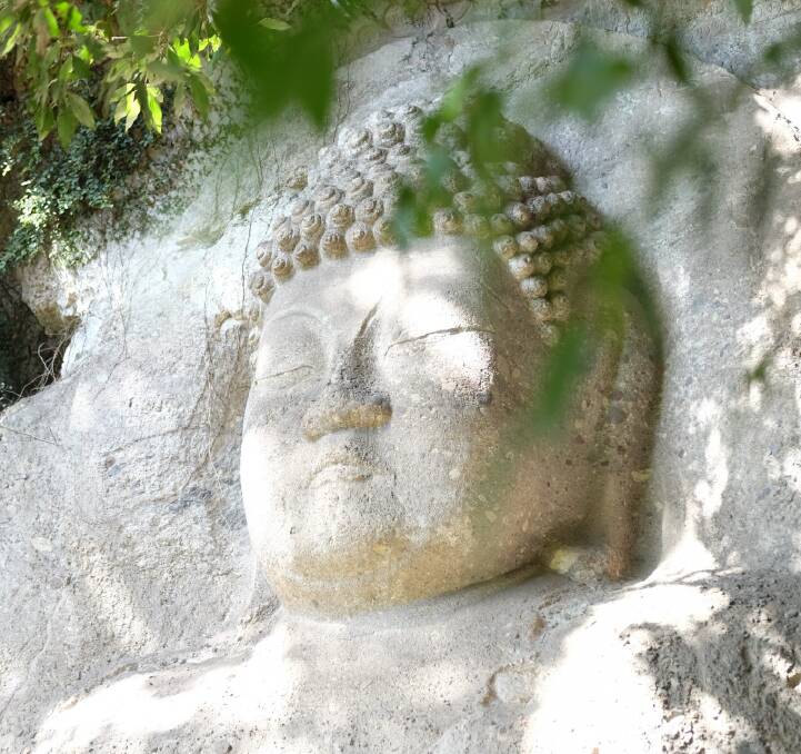 Buddhas appear in unexpected places. Buddhas appear in unexpected places.