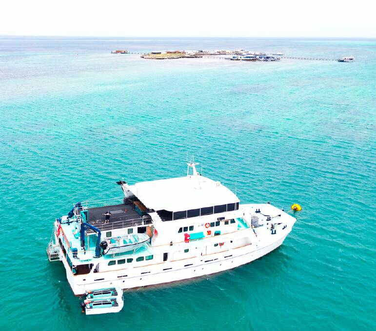 For a 'true blue' holiday, check out these Australian-owned cruises