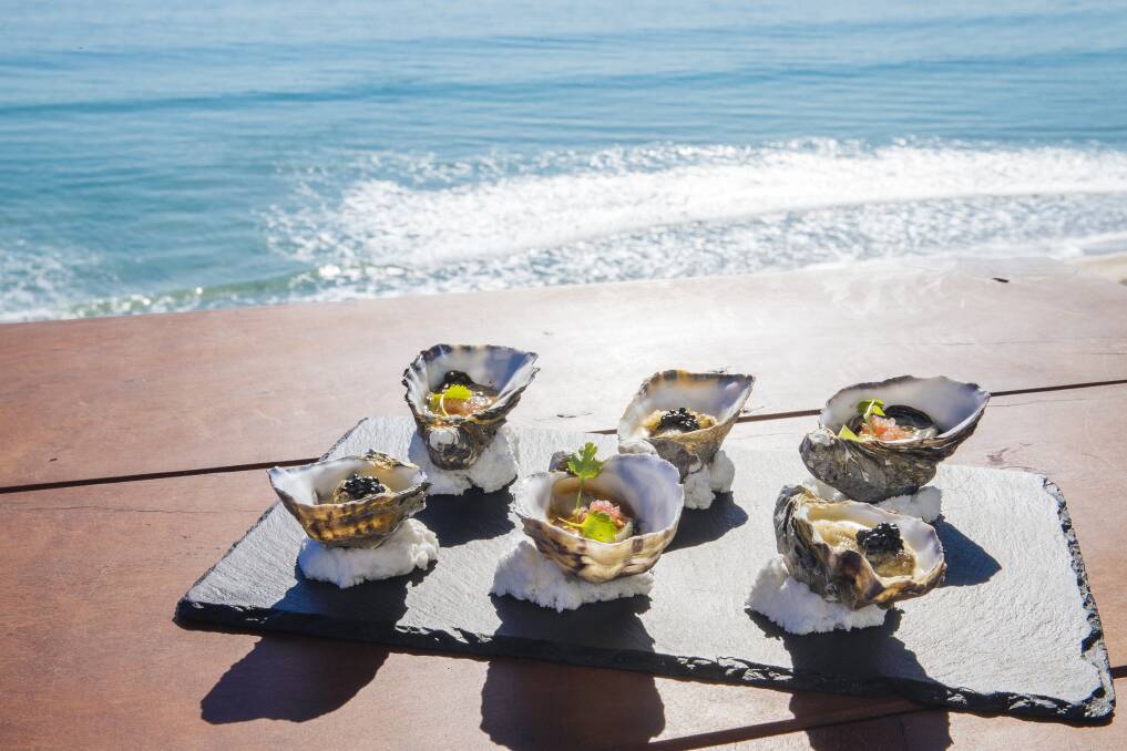 Oysters at Star of Greece.