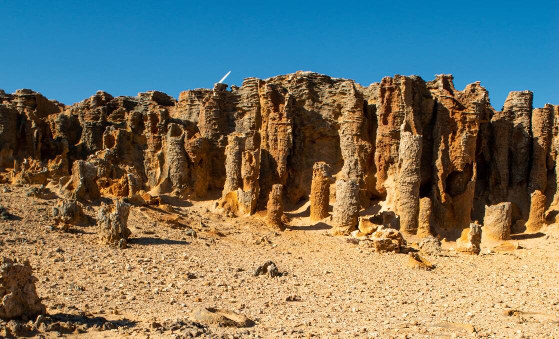 The collection of hollow limestone tubes known as the Petrified Forest. The collection of hollow limestone tubes known as the Petrified Forest.