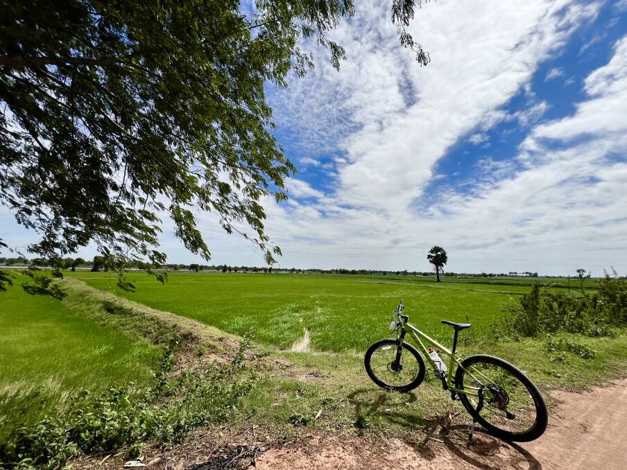 Cycling through rice paddies in Cambodia.