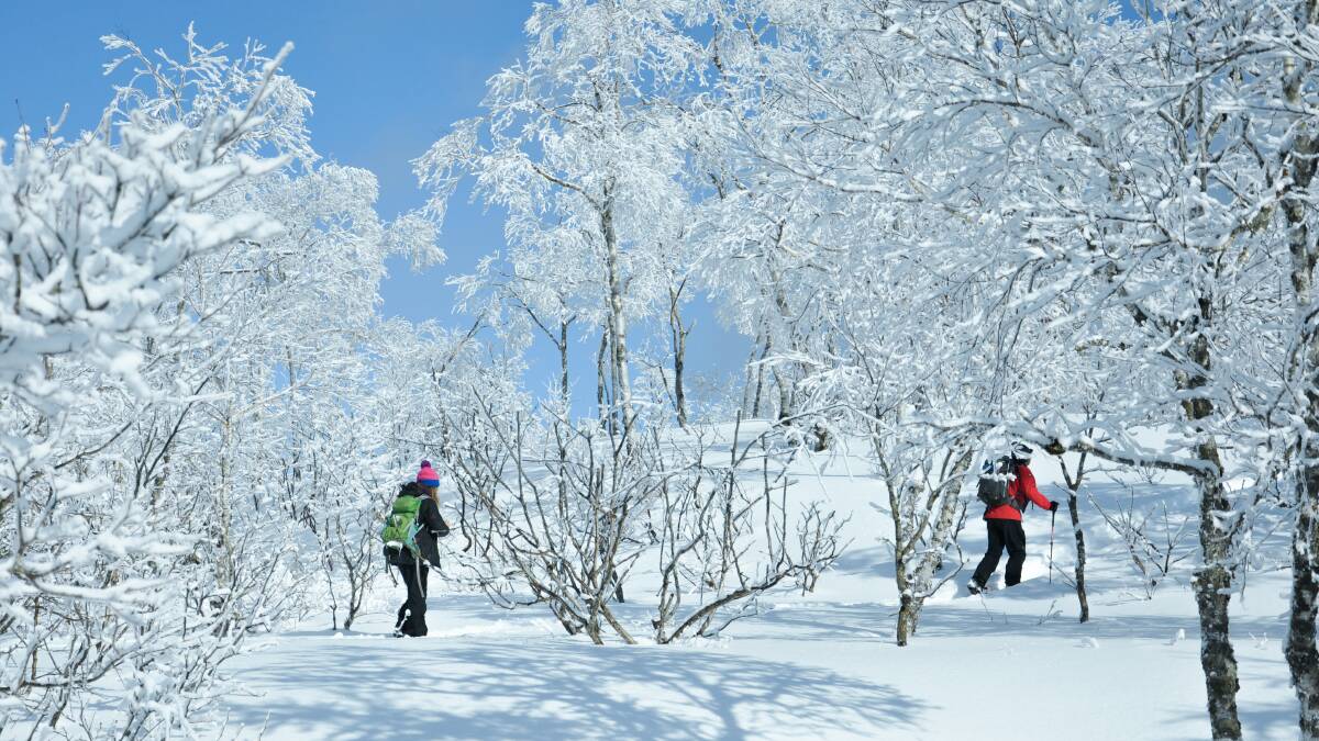 Snowshoe hike. Picture: Laura Waters