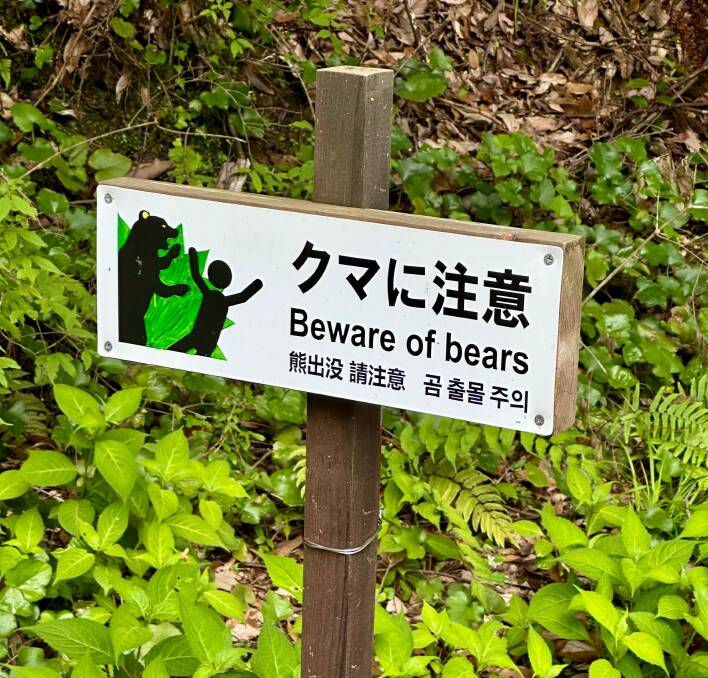 Warning in the forest. Picture by Anabel Dean
