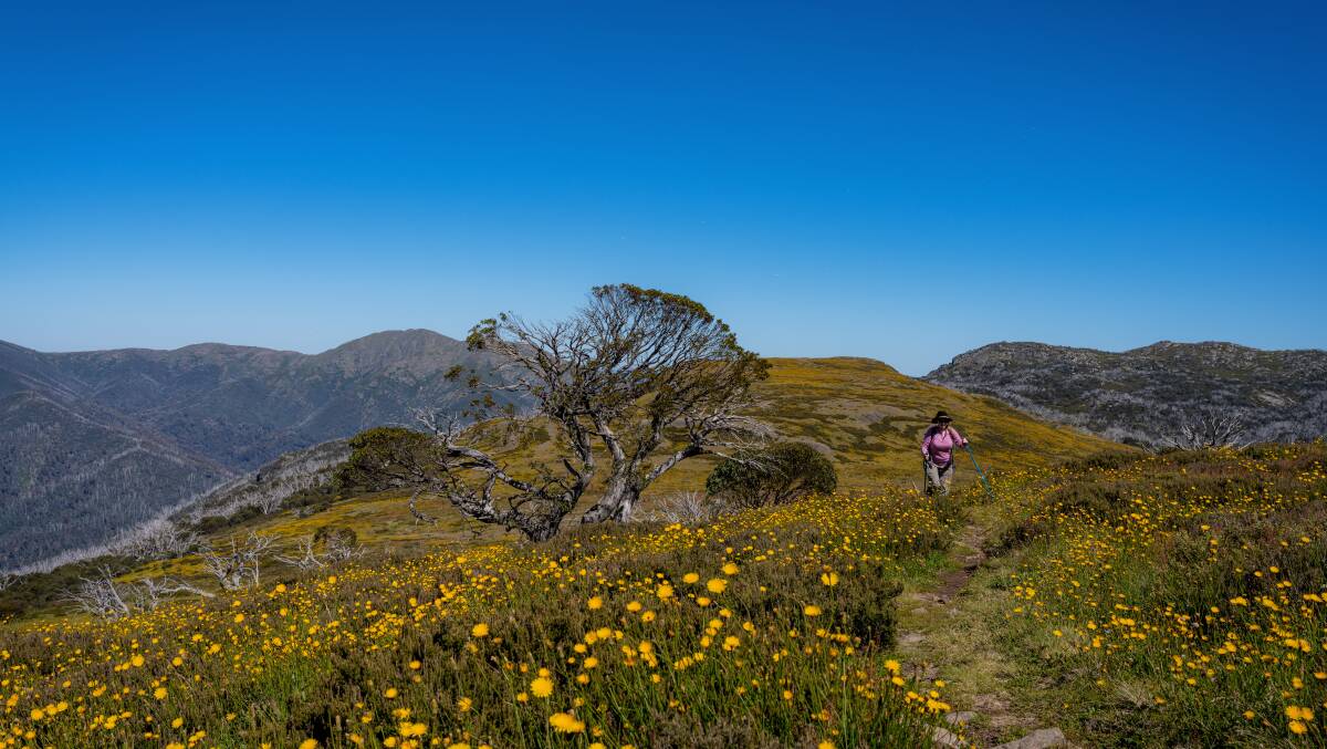 Hiking in the High Country with Alpine Nature Experience. Hiking in the High Country with Alpine Nature Experience.