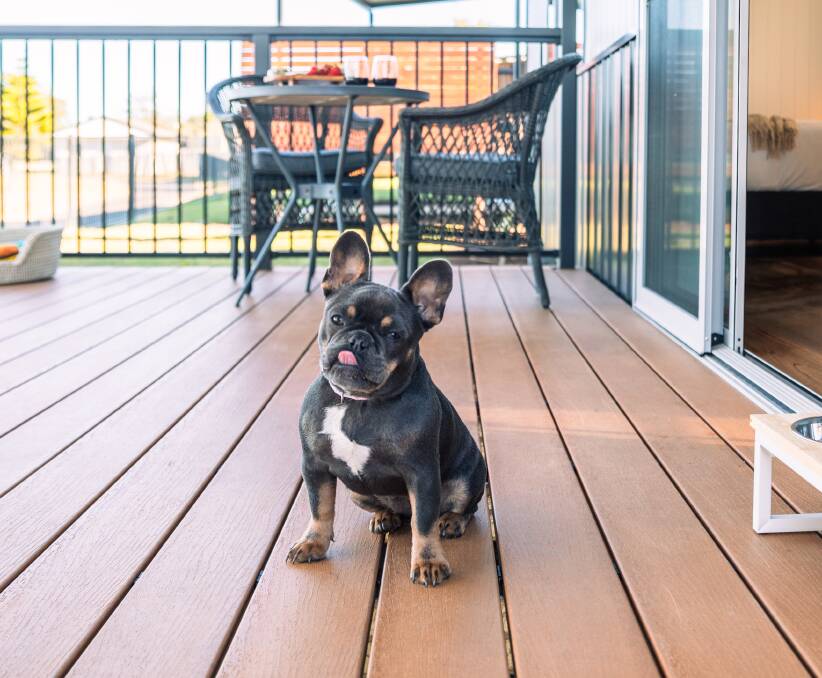 Pets welcome. Pets welcome.