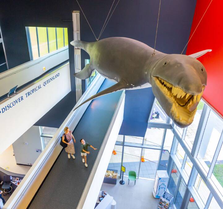 The Museum of Tropical Queensland.