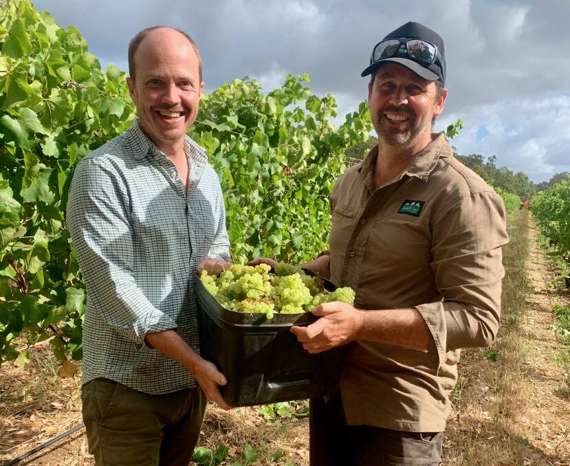 Tim Shand and Glen Ryan at Voyager Estate. Picture: Amy Cooper Tim Shand and Glen Ryan at Voyager Estate. Picture: Amy Cooper