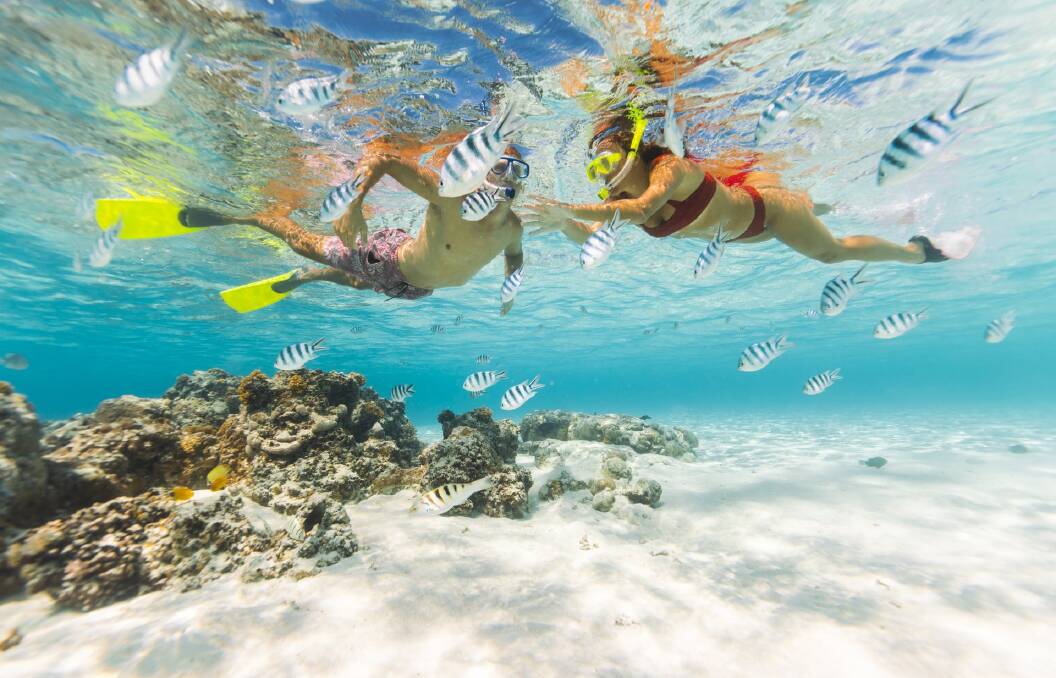 Among the pleasures that await on the Cook Islands, snorkelling in the Aitutaki lagoon. Picture: Alexandra Adoncello