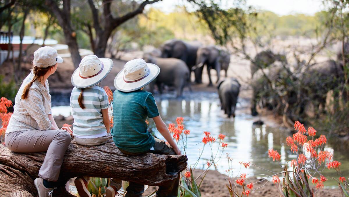 On safari with the kids. Picture: Shutterstock