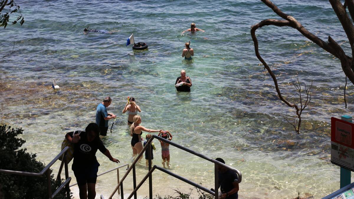 Grab the snorkel kit and check out the crystal-clear waters of Fly Point. Grab the snorkel kit and check out the crystal-clear waters of Fly Point.