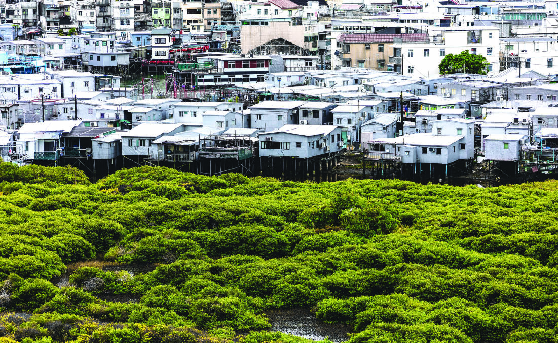 Tai O fishing village.