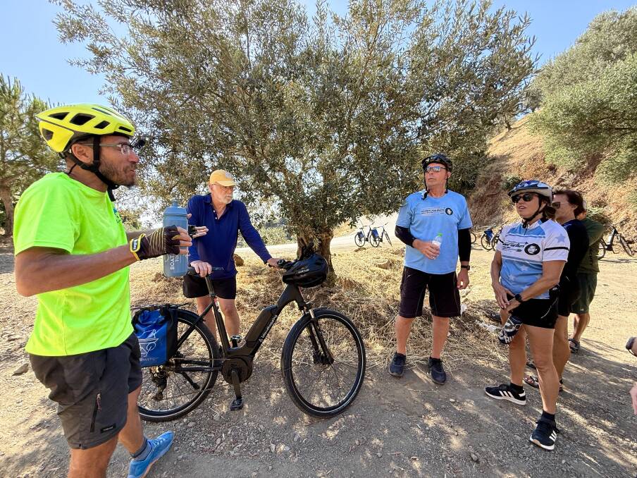 Learning about olive trees on the island of Poros. Learning about olive trees on the island of Poros.