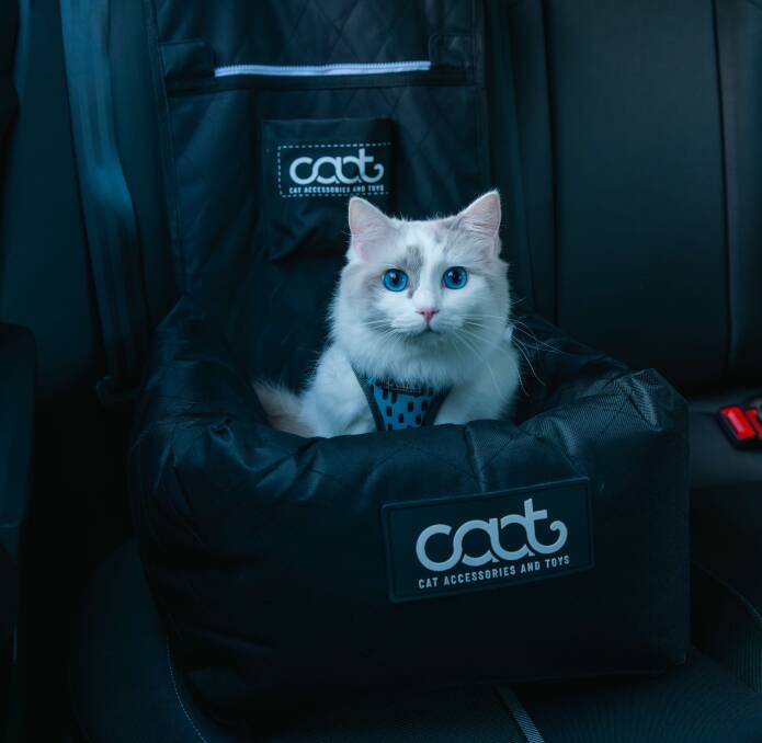 DOOG's car seat for pets.