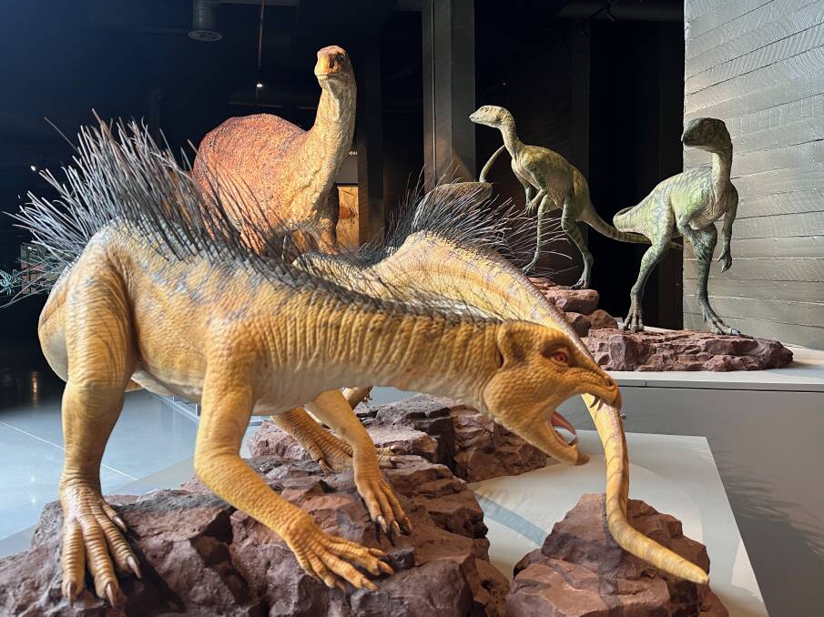 Exhibits at the new Kgodumodumo Dinosaur Interpretation Centre. Picture by Laura Waters