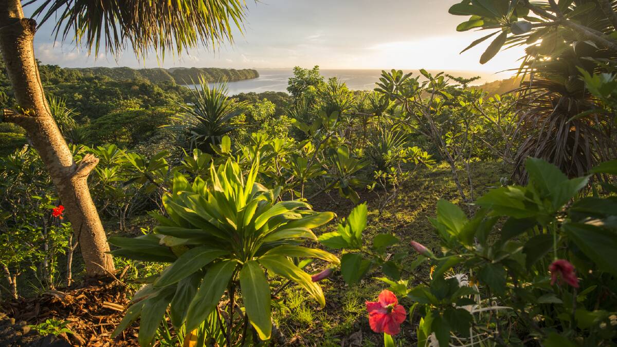 Jungle interiors. Picture: Getty Images