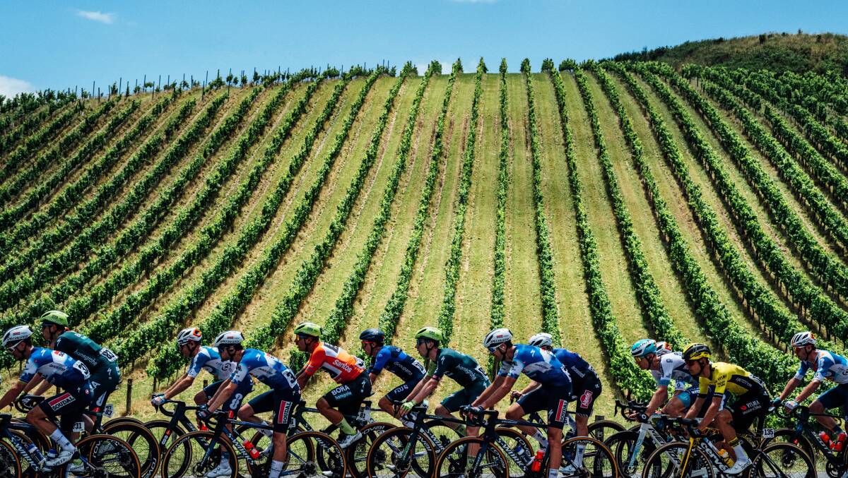 Racing by a vineyard. Racing by a vineyard.