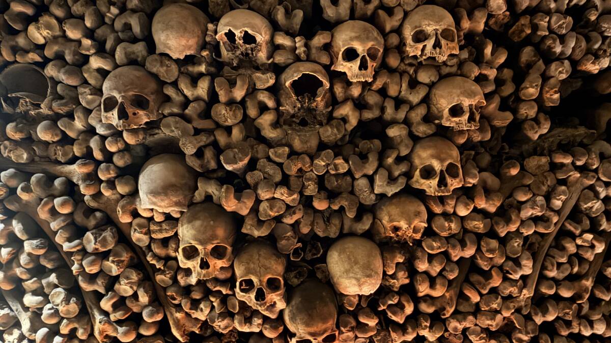 Skulls form decorative patterns.