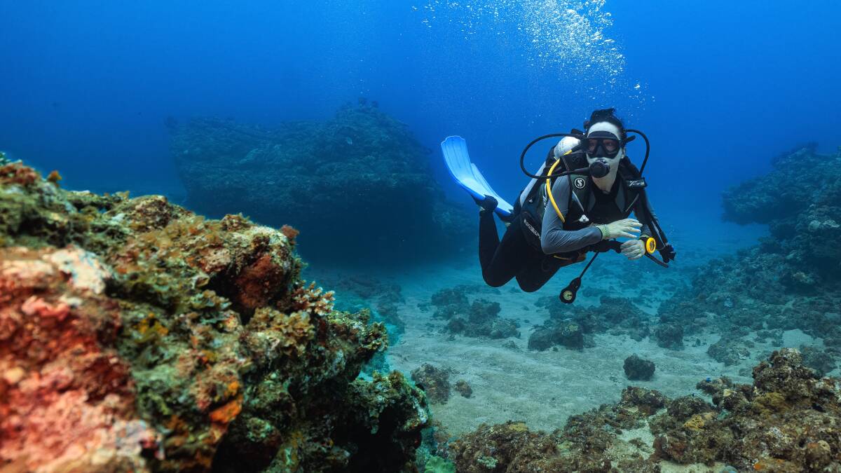 Circus Reef. Circus Reef.