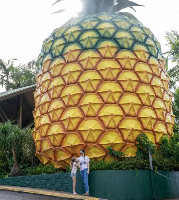 The Big Pineapple. Picture: Tourism and Events Queensland The Big Pineapple. Picture: Tourism and Events Queensland