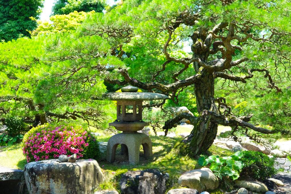 A Japanese garden in Hagi. Picture by Anabel Dean