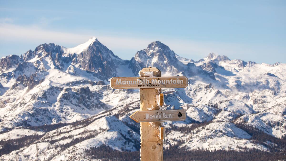Mammoth views.