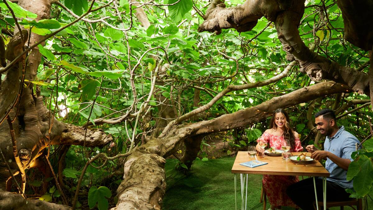 The Fig Tree restaurant on Kangaroo Island. Picture: SATC