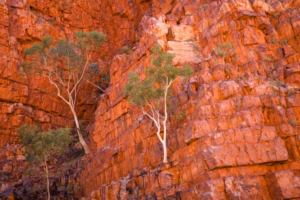 Blazing red cliffs on the way. Blazing red cliffs on the way.