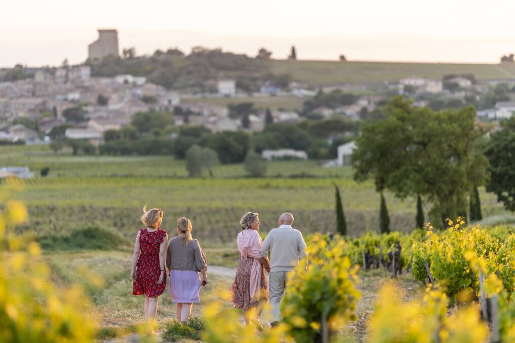 Winery wander on an Insight Vacations Europe tour.