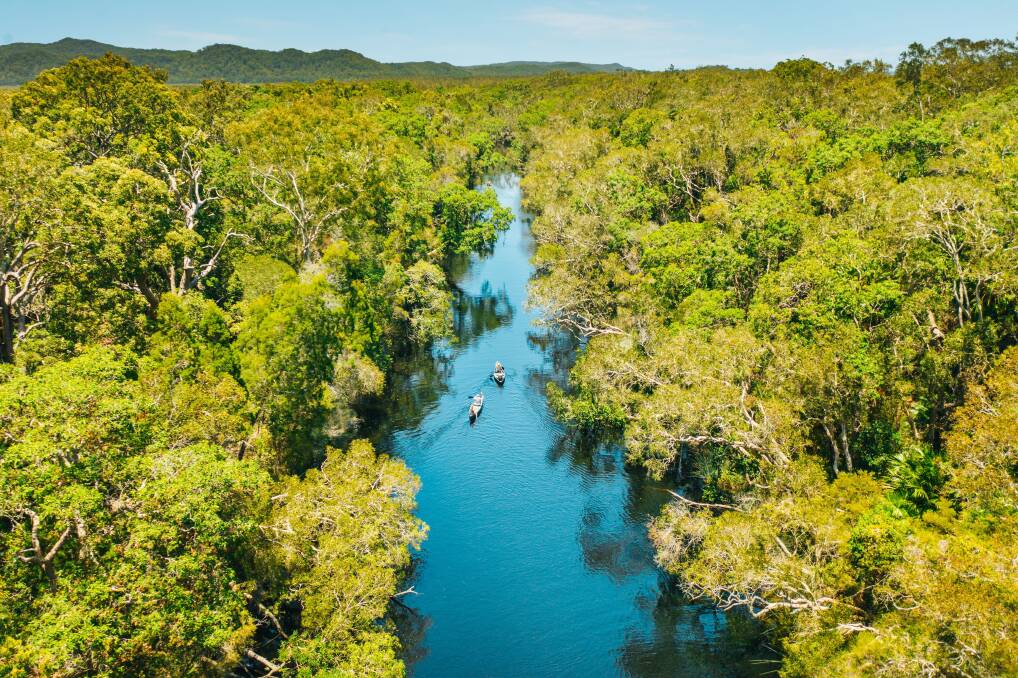 Kayaking on the Noosa Everglades. Picture by Jesse Lindemann/Tourism and Events Queensland