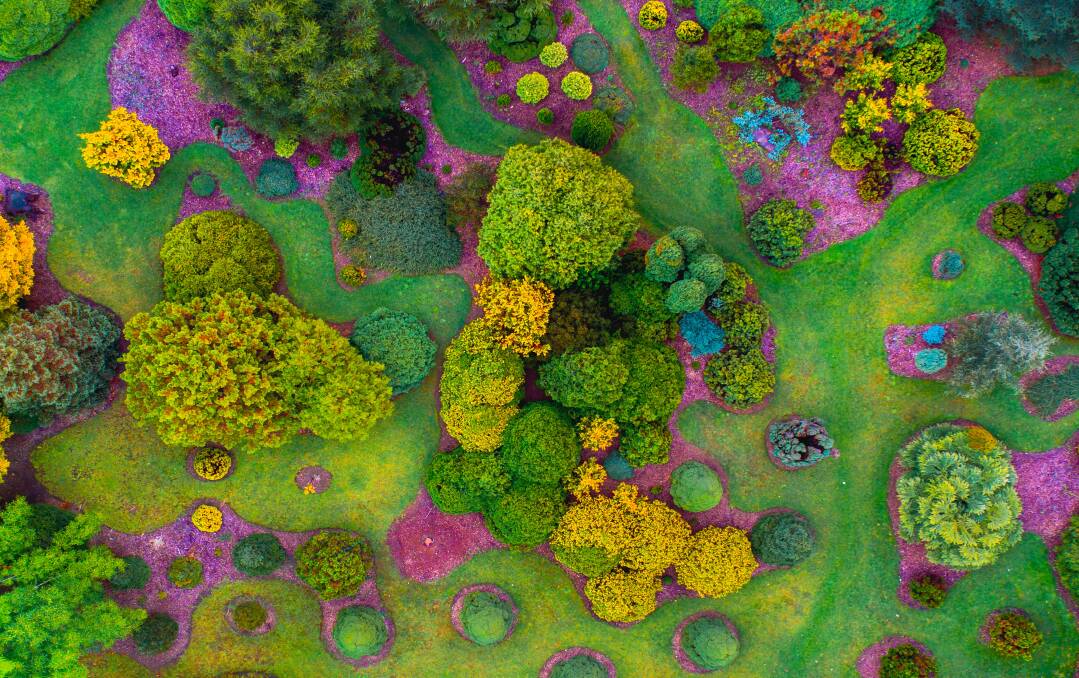 Mount Lofty Botanic Gardens. Picture: Jason Wunderlitz