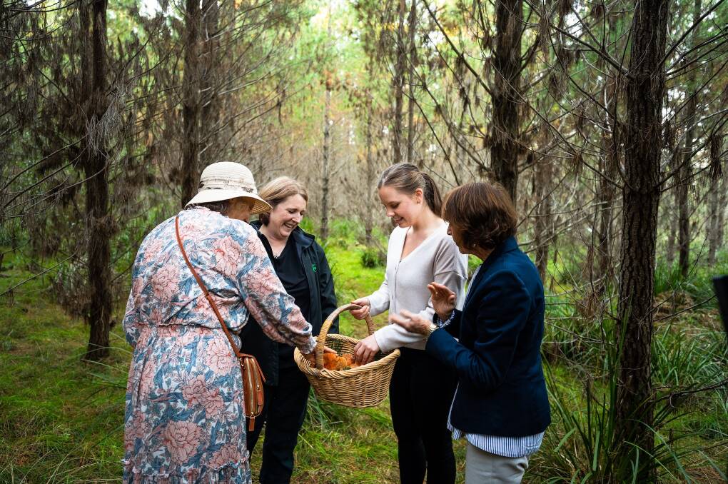 A mushroom foraging tour.