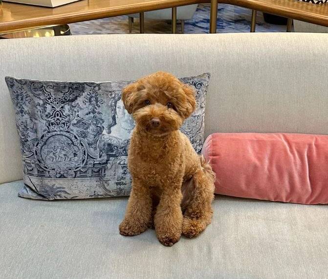 Kimpton Margot. Kimpton Margot.