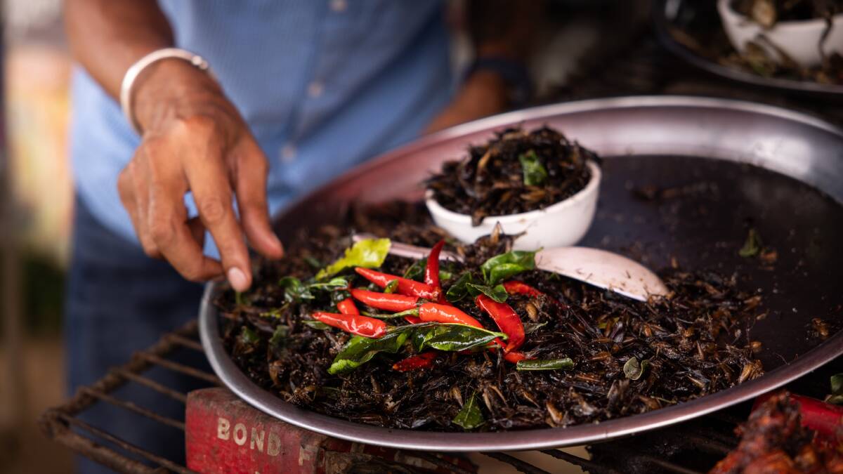 Bugs to eat at Siem Reap market. Picture: Intrepid Bugs to eat at Siem Reap market. Picture: Intrepid