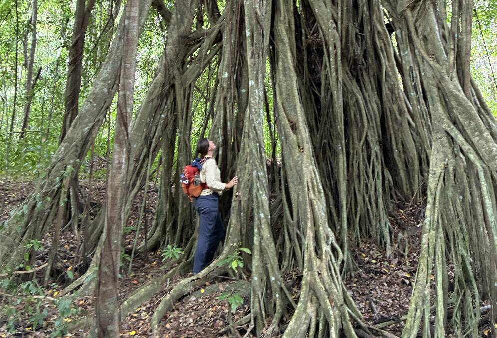 An outdoor adventure in Fiji.