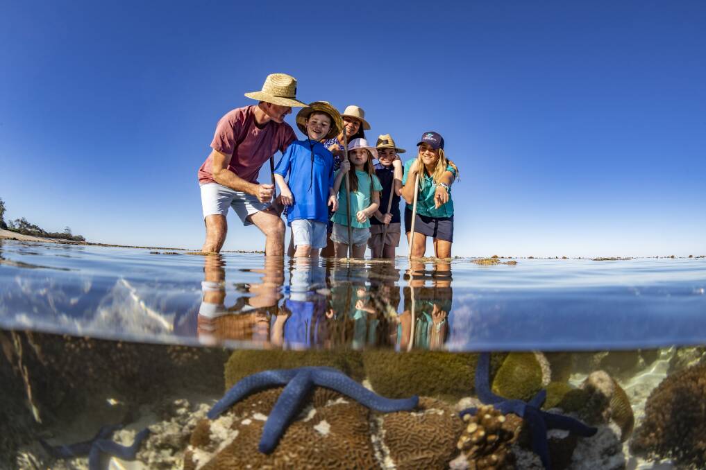 Eco tours on Lady Elliot Island. Picture: Tourism and Events Queensland Eco tours on Lady Elliot Island. Picture: Tourism and Events Queensland