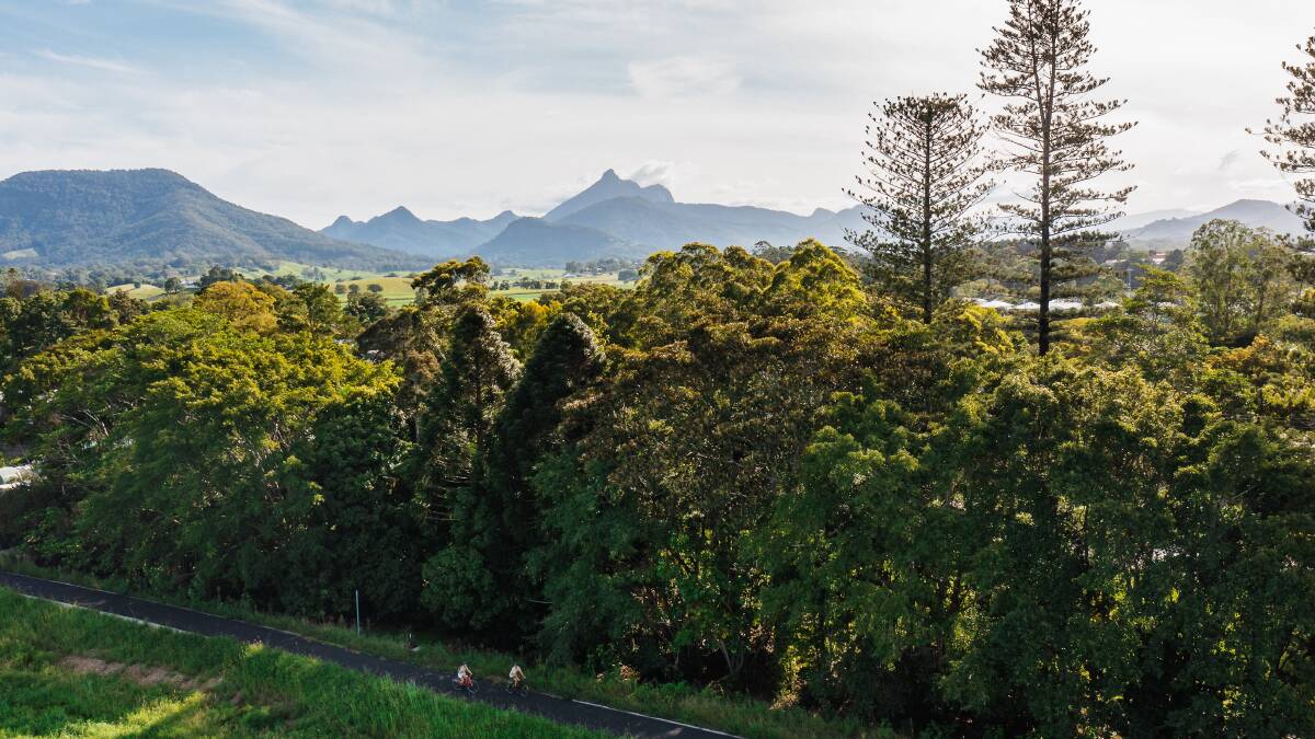 Cycling the trail, Mt Warning (Wollumbin) in the background.