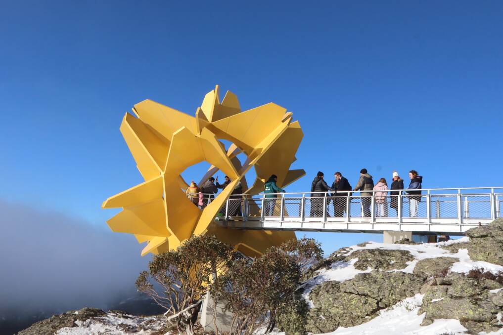 Flower of the Alpine Sun.