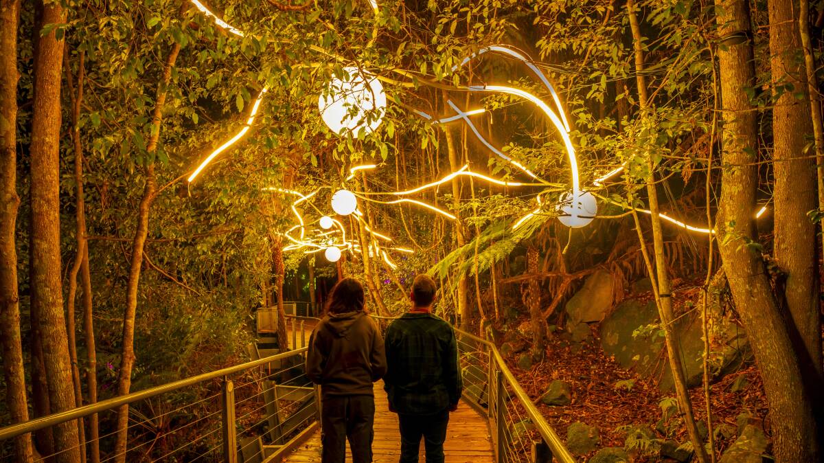 The Nocturnal light show. Picture: Gary P Hayes Photography