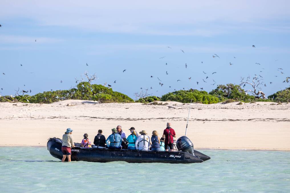 Birdwatchibg at Ashmore Reef. Picture: Tim Faircloth Birdwatchibg at Ashmore Reef. Picture: Tim Faircloth
