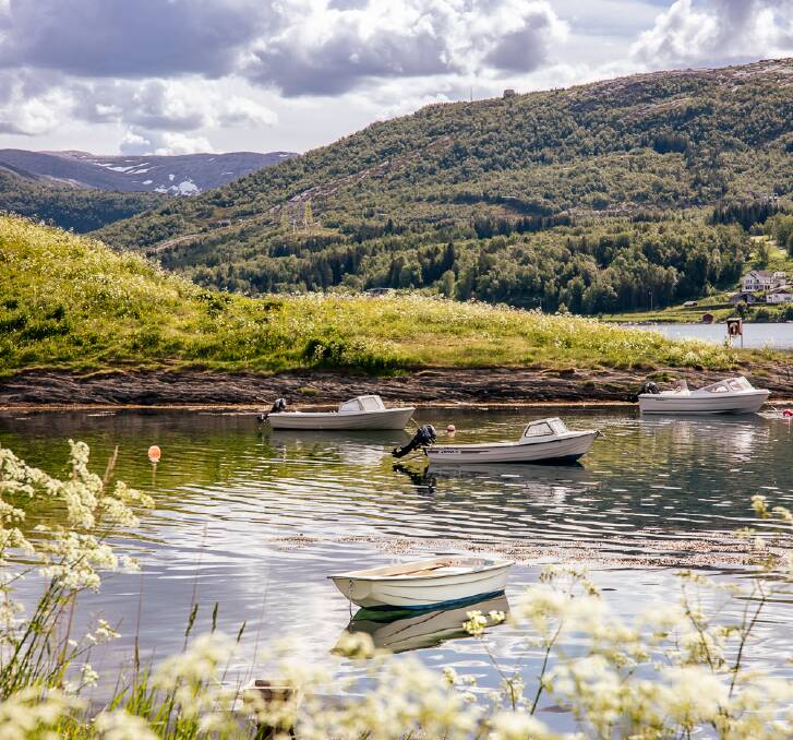 Scenery in Saltstraumen.