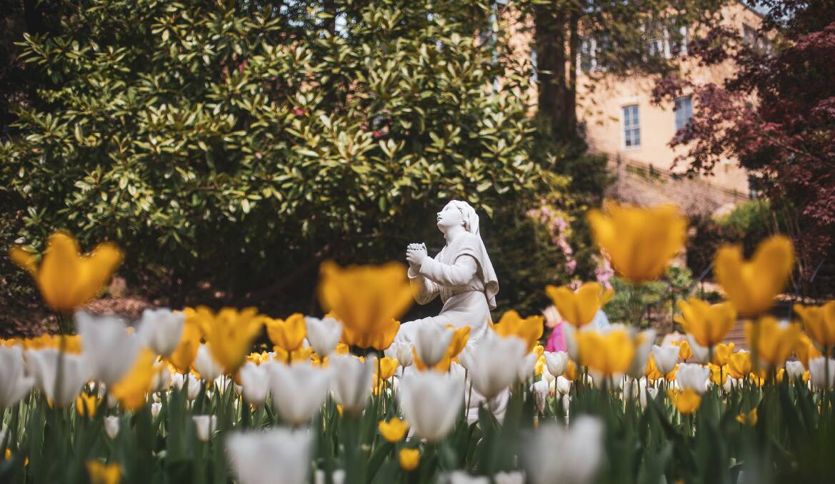 Franciscan Monastery of the Holy Land in America. Picture: Shutterstock Franciscan Monastery of the Holy Land in America. Picture: Shutterstock