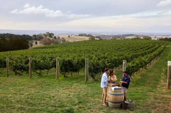 'Whycation' is the new way to travel - and this NSW wine region gets it right