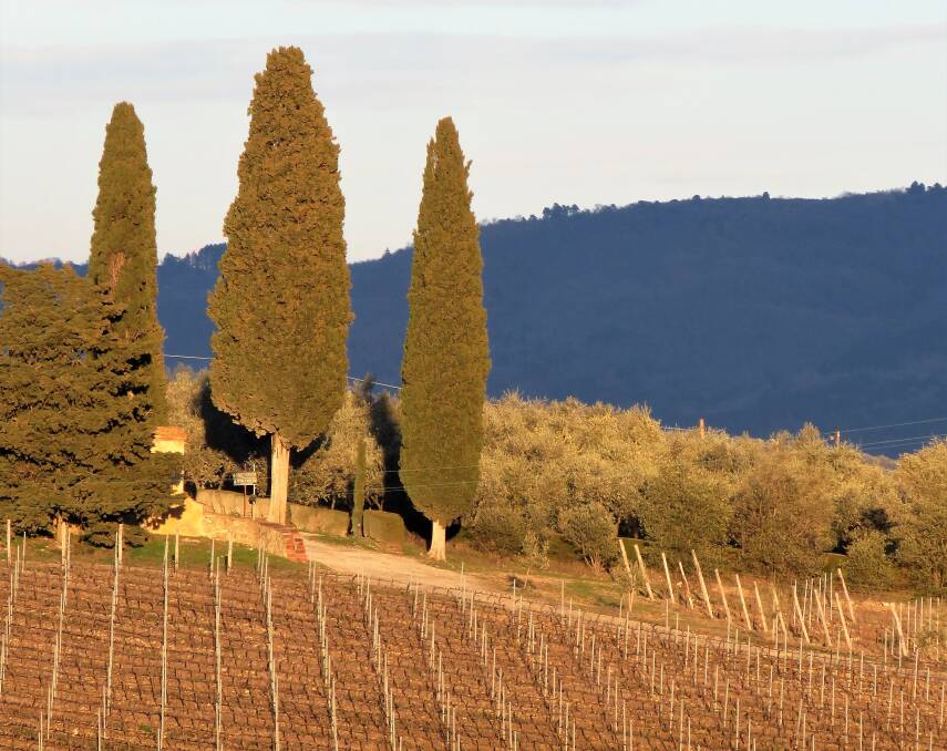 A road trip in Italy. A road trip in Italy.