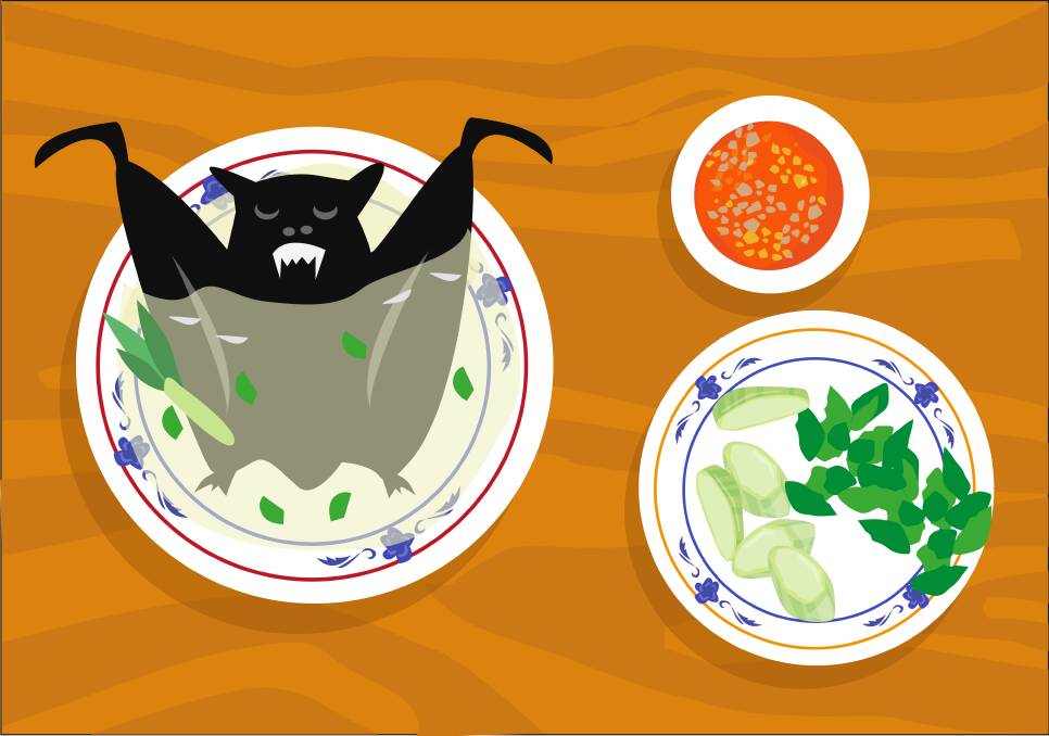 Bat on a plate ... a bite too far. Illustration: Shutterstock