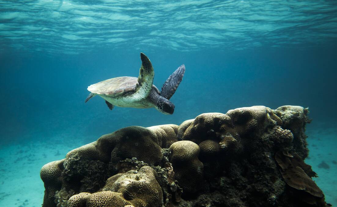 Clear water is a feature of Norfolk Island's bays. Picture supplied