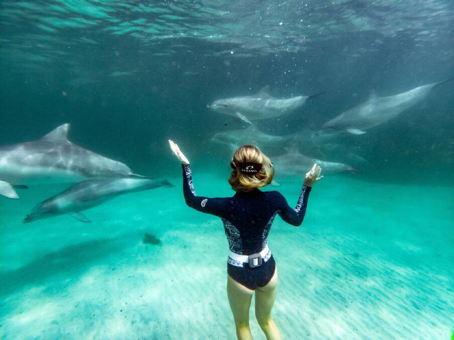 Wild encounters off Kangaroo Island. Picture: Kane Overall
