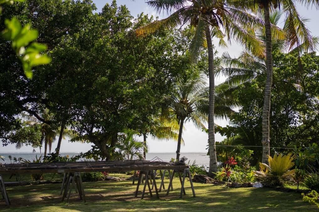 Bula coffee. Picture by Tourism Fiji