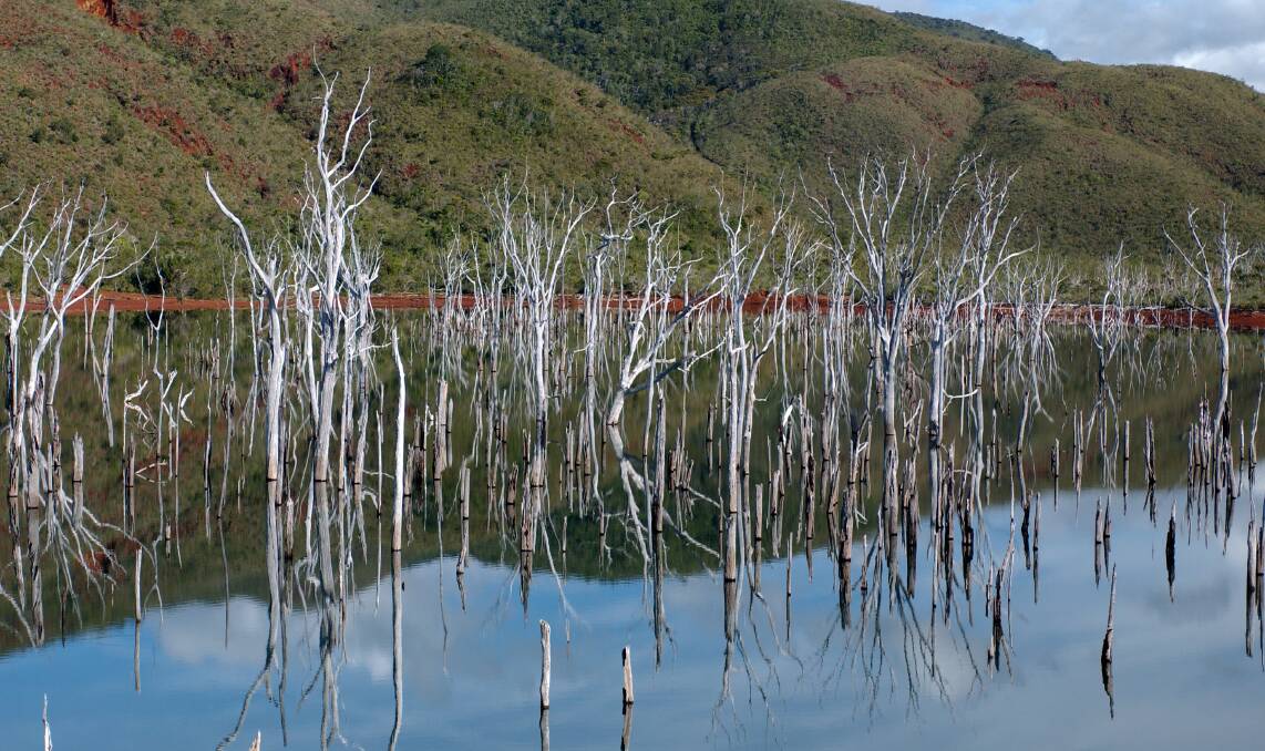 A flooded forest in New Caledonia. Picture by New Caledonia Tourism