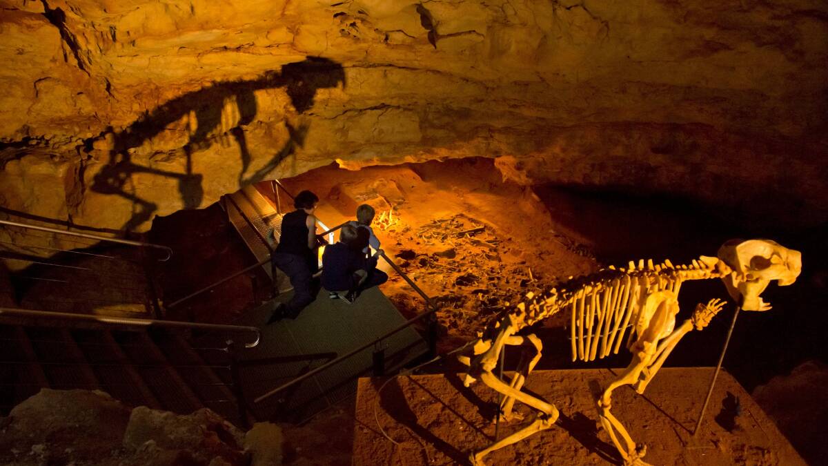 Naracoorte Caves. Picture by SATC