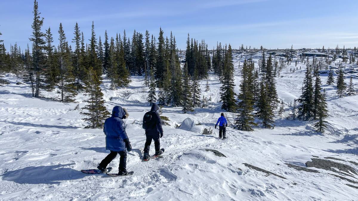 Snowshoeing along forest paths. Picture by Travel Manitoba Snowshoeing along forest paths. Picture by Travel Manitoba